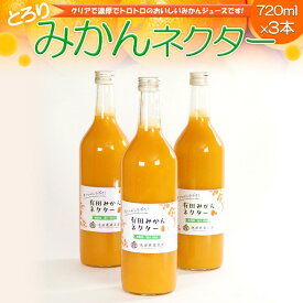 【ふるさと納税】とろり　みかんネクター720ml×3本［IKE226］ | フルーツ 果物 くだもの 食品 人気 おすすめ 送料無料