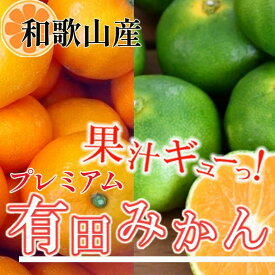 【ふるさと納税】プレミアム 有田みかん5kg+250g（傷み補償分）［2025年10月上旬から2026年1月下旬頃順次発送予定］［IKE250］ | フルーツ 果物 くだもの 食品 人気 おすすめ 送料無料