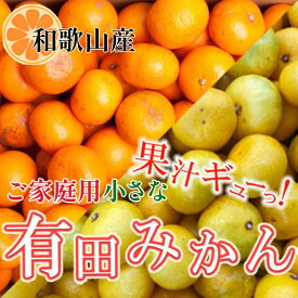 【ふるさと納税】家庭用 小さな有田みかん10kg+250g（傷み補償分）［2025年10月上旬から2026年1月下旬頃順次発送予定］［IKE223］ | フルーツ 果物 くだもの 食品 人気 おすすめ 送料無料