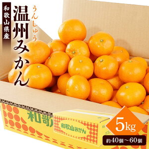 �y�ӂ邳�Ɣ[�Łz�m��s�\��n�m2026�N11�����{����11���������������n �a�̎R���Y���B�݂��� ��5kg�i40�`60�j�G�i �������_�ƌ��I�I�mKG31�n | �݂��� ���� �t���[�c �ʕ� �������� �H�i 