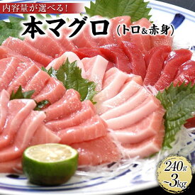 【ふるさと納税】［選べる内容量（240g・500g・1.35kg・3kg）］プレミア和歌山認証品 本マグロ（養殖）トロ＆赤身セット | 鮪 年末発送 年内発送 期間限定 セット 詰合せ 詰め合わせ 魚 魚介類 お取り寄せ グルメ maguro 人気 和歌山県 那智勝浦町