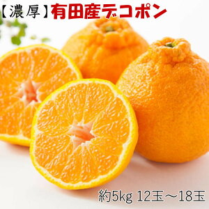 yӂ邳Ɣ[ŁzmZnIBLcY̑ʃfR|5kg(12ʁ`18ʓEGȏ) 2026N1{菇mTM25n | a̎R ԗi ʕ  t[c ʎ {̉ʕ {
