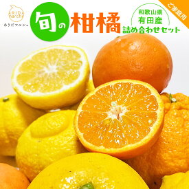 【ふるさと納税】有田育ちの 旬の 柑橘 詰合せセット（ご家庭用）約2.5kg［先行予約］［MS63］ | 和歌山 果物 詰め合わせ くだもの 柑橘 柑橘類 かんきつ かんきつ類 旬