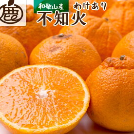 【ふるさと納税】［先行予約］家庭用 不知火2.5kg+250g（傷み補償分）［デコポンと同品種・人気の春みかん］［わけあり・訳あり］［IKE120］ | 和歌山県 和歌山 那智勝浦町 返礼品 オレンジ 柑橘類 柑橘 果物 フルーツ 果実
