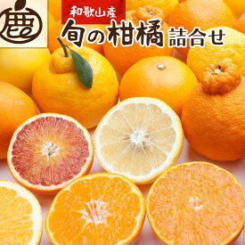 【ふるさと納税】［先行予約］厳選 柑橘詰合せ1kg+250g（傷み補償分）［有田の春みかん詰め合わせ・フルーツ詰め合せ・オレンジつめあわせ］［光センサー選別］［IKE157］ | 和歌山県 和歌山 那智勝浦町 返礼品 オレンジ 柑橘類 柑橘 果物 フルーツ 果実