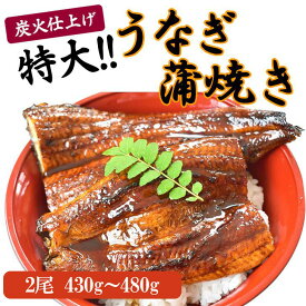 【ふるさと納税】うなぎ蒲焼き2尾入り 430g～480g（蒲焼たれ4袋 山椒付き）［KS5］