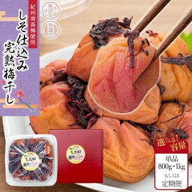 【ふるさと納税】【選べる単品・定期便・容量】紀州南高梅使用 しそ仕込み完熟梅干し 無選別 | 和歌山県 和歌山 那智勝浦町 紀州梅 梅干し 梅干 梅 うめ ウメ 返礼品 名産品 特産品 お土産 ご飯のお供 ごはんのお供 ごはんのおとも