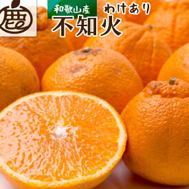 【ふるさと納税】【選べる容量】先行予約家庭用 不知火 1～10kg+250g（傷み補償分）［デコポンと同品種・人気の春みかん］［わけあり・訳あり］［IKE121］ | 那智勝浦町 不知火 柑橘 フルーツ 果物 人気 おすすめ 甘い ジューシー 家庭用 お取り寄せ 送料無料 ふるさと納税