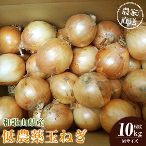 yӂ邳Ɣ[ŁzmIׂTCYnm2026NEs\n_Ƃ񒼑 _ʂ˂ S~2LTCY 10kgxm4{`7{\n | ܂˂ _ ʂ˂  ₳ Hi l