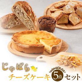 【ふるさと納税】柑橘「じゃばら」チーズケーキ 5点セット [Pn1] | 和歌山県 和歌山 那智勝浦町 那智勝浦 支援 支援品 返礼品 お取り寄せスイーツ ジャバラ 柑橘類 柑橘系 かんきつ スイーツ デザート おやつ ケーキ