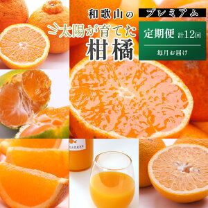 yӂ邳Ɣ[ŁzyIׂ񐔁EeʁzI k | k t[c ʕ  Hi lC  