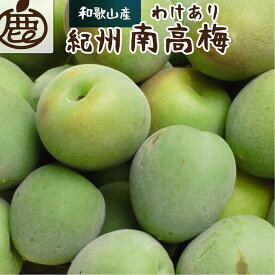 【ふるさと納税】【選べる容量】家庭用 紀州南高梅(青梅) 1～5kg+250g（傷み補償分）【梅干し・梅ジュース】【訳あり】 ［IKE111］ | フルーツ 果物 くだもの 食品 人気 おすすめ 送料無料 梅干し 梅酒 梅ジュース