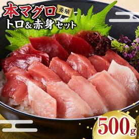 【ふるさと納税】本鮪 トロ&赤身 セット 240g～3kg | 中トロ 赤身 刺身 海鮮丼 贅沢 ごちそう 大トロも選べる マグロの王様 子供も喜ぶ お寿司 手巻き寿司にもおすすめ 魚 海鮮 定番 人気 養殖 冷凍 内容量を選べる 南紀 和歌山 那智勝浦町 楽天ふるさと納税