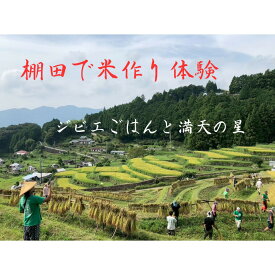 【ふるさと納税】棚田で米作り体験 一般用 （参加チケット1回分） | 体験 チケット 色川の棚田においでよ