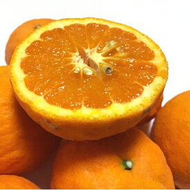 【ふるさと納税】【初夏の美味】濃厚なつみオレンジ（ご家庭用）約3.5kg
