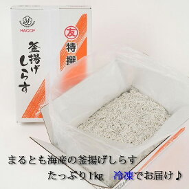 【ふるさと納税】紀州湯浅湾直送！茹でたて釜揚げしらす 箱入　1kg　【冷凍】 | 和歌山県 和歌山 那智勝浦町 返礼品 しらす シラス 釜揚げしらす 名産品 特産品 お土産 ご飯のお供 ごはんのお供 ごはんのおとも ご飯のおとも 酒のつまみ おつまみ 酒の肴 取り寄せ グルメ