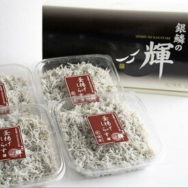 【ふるさと納税】紀州湯浅湾直送！茹でたて釜揚げしらす　1kg（250g×4パック入）　【冷凍】 | 和歌山 那智勝浦町 返礼品 しらす シラス 釜揚げしらす 名産品 特産品 お土産 ご飯のお供 ごはんのお供 ごはんのおとも ご飯のおとも 酒のつまみ おつまみ 酒の肴 取り寄せ