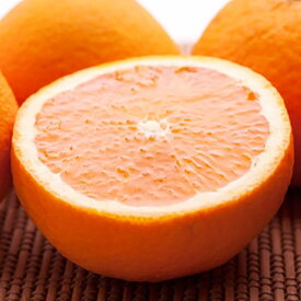 【ふるさと納税】＜2月より発送＞厳選きよみオレンジ4.7kg+141g（傷み補償分）　【光センサー選果】【樹上完熟清見オレンジ・清見タンゴール・清美】