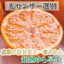 【ふるさと納税】厳選 超熟有田みかん 3kg+90g（傷み補償分）＜2024年11月より発送＞