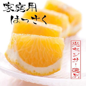 yӂ邳Ɣ[ŁzyIׂeʁzs\ƒp ͂ 2.5`10kg+250giݕ⏞jy݂zy󂠂E킯zmIKE30n | t[c ʕ  Hi lC  