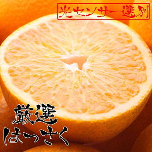 yӂ邳Ɣ[ŁzyIׂeʁzs\񌵑I ͂ 2.5`10kg+250giݕ⏞jm݂nmZT[IʁnmIKE27n | t[c ʕ  Hi lC  