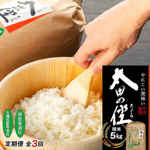 【ふるさと納税】【定期便 全3回】『太田のちから』5kg 減農薬栽培・有機質肥料栽培のコシヒカリ