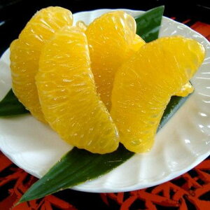 yӂ邳Ɣ[Łza̎RRǒY͂ 10kg Gi TCY܂ (L܂2L) ꂩ͂ mSL41n | a̎R ԗi  ʕ  t[c ʎ {̉ʕ {̃t[c 