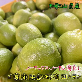 【ふるさと納税】紀州和歌山 ご家庭用 有田 レモン 3kg【農家直送】【訳あり】【先行予約・2024年10月上旬～2025年1月下旬発送】