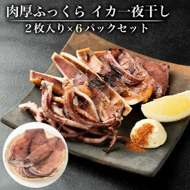 【ふるさと納税】肉厚ふっくら イカ一夜干し2枚入り×6パックセット | 和歌山県 和歌山 那智勝浦町 イカ 一夜干し いか 酒のつまみ おつまみ つまみ 酒の肴 取り寄せ ご飯のお供 ごはんのおとも ごはんのお供 ご飯のおとも お取り寄せグルメ いかの一夜干し イカの一夜干し