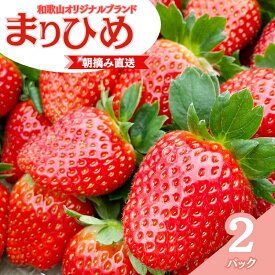 【ふるさと納税】 【先行予約】特大まりひめ いちご 朝摘 6個～11個入り×2パック 2025年1月初旬～2025年3月中旬頃に順次発送予定（お届け日指定不可）/ いちご 苺 まりひめ 和歌山 フルーツ 果物 くだもの