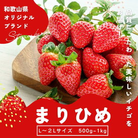 【ふるさと納税】 【先行予約】まりひめ いちご 12粒～15粒入り×2パック or 4パック（500g or 1kg） 2025年1月初旬～2025年3月末頃に順次発送予定（お届け日指定不可）/ いちご 苺 まりひめ 和歌山 フルーツ 果物 くだもの