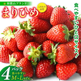 【ふるさと納税】【先行予約】まりひめイチゴ4パック 食べやすいひと口サイズ M〜L（15粒〜20粒入×4パック）【2026年1月初旬〜3月下旬頃に順次発送】（お届け日指定不可）/ いちご 苺 まりひめ 和歌山 フルーツ 果物 くだもの