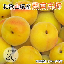 楽天市場】南高梅 4lの通販