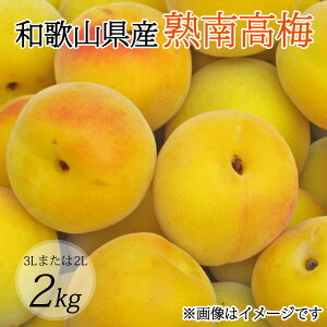 �y�ӂ邳�Ɣ[�Łz �y�~���E�~��p�z�i3L�܂���2L�|2Kg�j�n�썂�~��2026�N6����{�`7����{����ɏ��������\�聄 (���͂��w����s��)