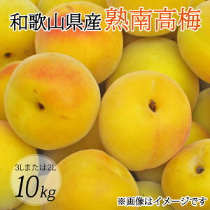 �y�ӂ邳�Ɣ[�Łz �y�~���E�~��p�z�i3L�܂���2L�|10Kg�j�n�썂�~��2026�N6����{�`7����{����ɏ��������\�聄(���͂��w����s��)