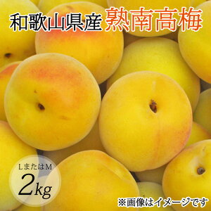 �y�ӂ邳�Ɣ[�Łz �y�~���E�~��p�z�iL�܂���M�|2Kg�j�n�썂�~��2026�N6����{�`7����{����ɏ��������\�聄(���͂��w����s��)