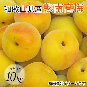 �y�ӂ邳�Ɣ[�Łz �y�~���E�~��p�z�iL�܂���M�|10Kg�j�n�썂�~��2026�N6����{�`7����{����ɏ��������\�聄 (���͂��w����s��)