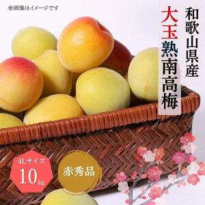 �y�ӂ邳�Ɣ[�Łz �y�~���E�~��p�z���4L�T�C�Y10Kg�n�썂�~ �ԏG�i��2026�N6����{�`7����{����ɏ��������\�聄 (���͂��w����s��)