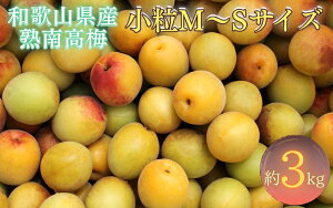 �y�ӂ邳�Ɣ[�Łz �y�~���E�~��p�z�I�B�a�̎R���Y �n�썂�~ ������ �D�i ��3kg (S�AM�T�C�Y���܂���)+3%���ʁ�2026�N6�����{�`7����{�����\�聄/ �~���� �~�� �E���V���b�v �W���[�X �W������