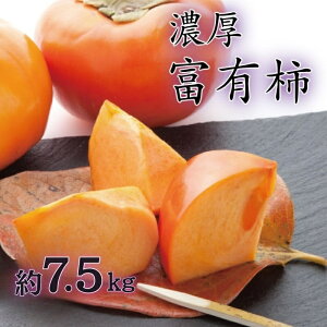 yӂ邳Ɣ[Łz yH̔zya̎RuhzZ!xL`@Gi@2L`4LTCY(7.5kg) 2025N11{`12{\