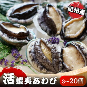 yӂ邳Ɣ[Łz ɏIIBڈ 3`20 ܂قɂoׂɏArzBwOK / Ar      o[xL[ BBQ CN Ⓚ