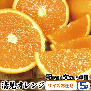 【ふるさと納税】 清見オレンジ 約5kg 約8kg (果実サイズおまかせ) 紀伊国屋文左衛門本舗【2026年2月中旬〜2026年4月下旬頃に発送予定】(お届け指定日不可)