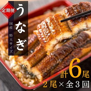 yӂ邳Ɣ[Łz yS3ցz^TCY ӂ_炩 YȂĂ 2×3 v6 1020g / Ȃ EiM V Y  Ă  lC  ӂ邳Ɣ[