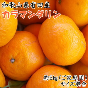 yӂ邳Ɣ[Łz yt݂za̎RLcYJ}_5kg(TCY@ƒp)2026N4{`5{ɏ\i͂wsj
