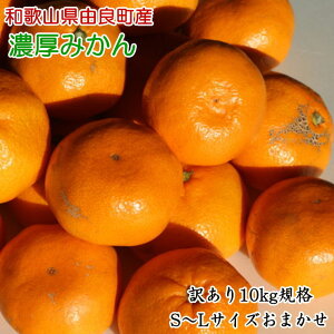 yӂ邳Ɣ[Łz y󂠂Eƒpza̎RRǒŶ݂10kg iTCY܂j2025N11{`2025N12{͂\i͂wsj