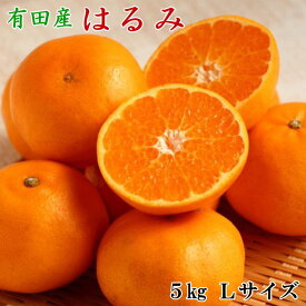 【ふるさと納税】【厳選・濃厚】紀州有田産のはるみ 5kg (Lサイズ)※2025年1月下旬～2025年2月中旬頃に順次発送(お届け日指定不可)