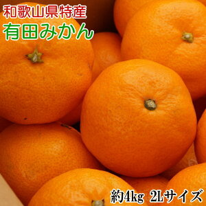 yӂ邳Ɣ[Łz [Gi]a̎RLc݂4kg(2LTCY) 2025N11{`2026N1{i͂wsj