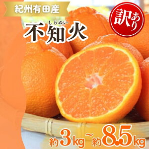 yӂ邳Ɣ[Łz yƒp󂠂zIBLcYsm(ʂ) 3kg 6kg 8.5kgy\z2026N2{`2026N3{ɏ\(͂ws)