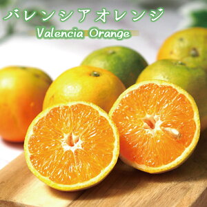 yӂ邳Ɣ[Łz yYz󏭃oVAIW 5kg 2026N6{`7{\