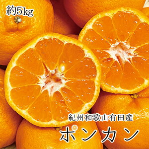 yӂ邳Ɣ[Łz IBa̎RLcY|J 5kg 2026N2{`2026N2{ɏi͂wsj
